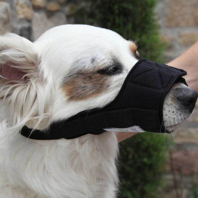 Nature Pet Softmaulkorb aus Neopren