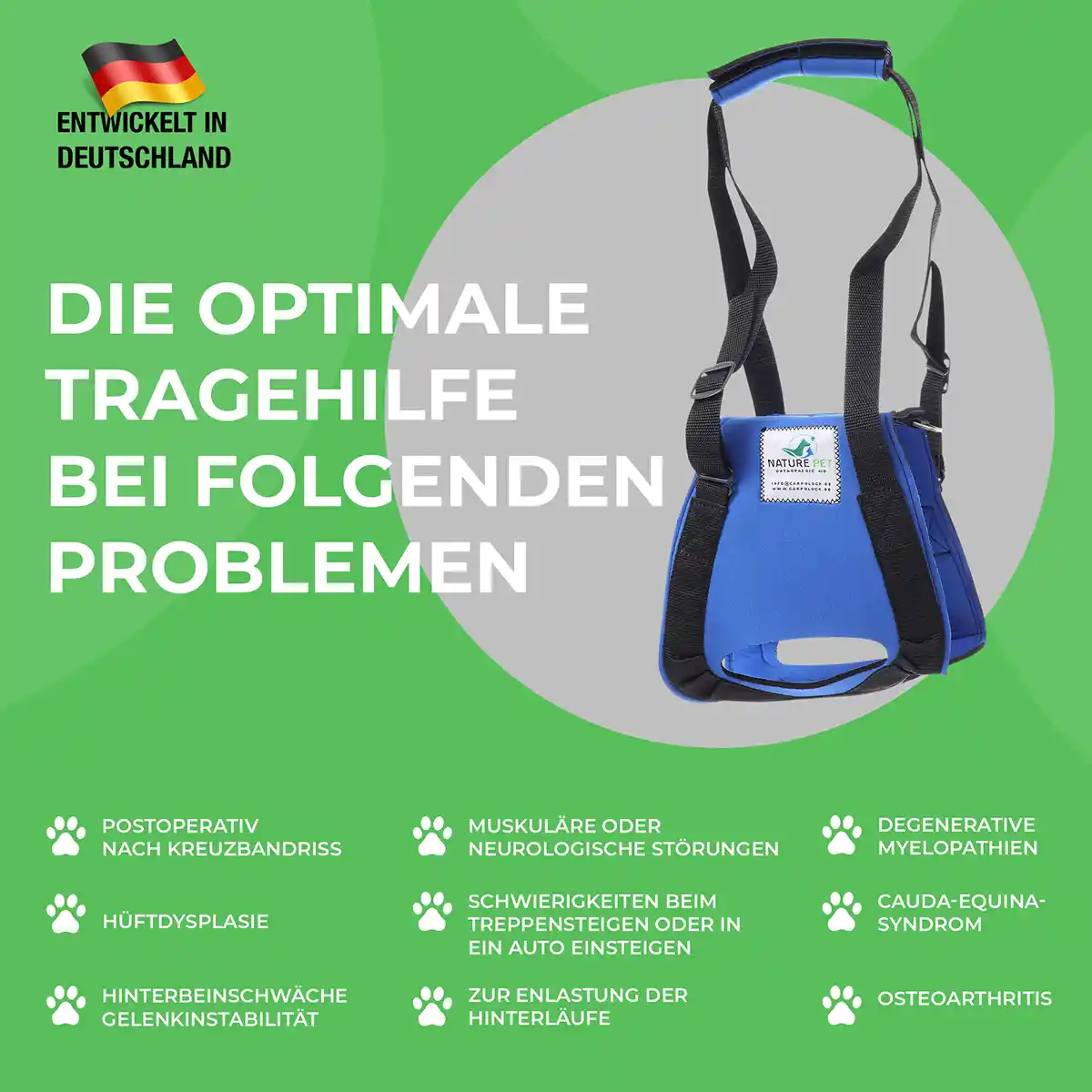 Diagnosen für die Tragehilfe Hinten