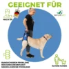 Hundetragehilfe hinten