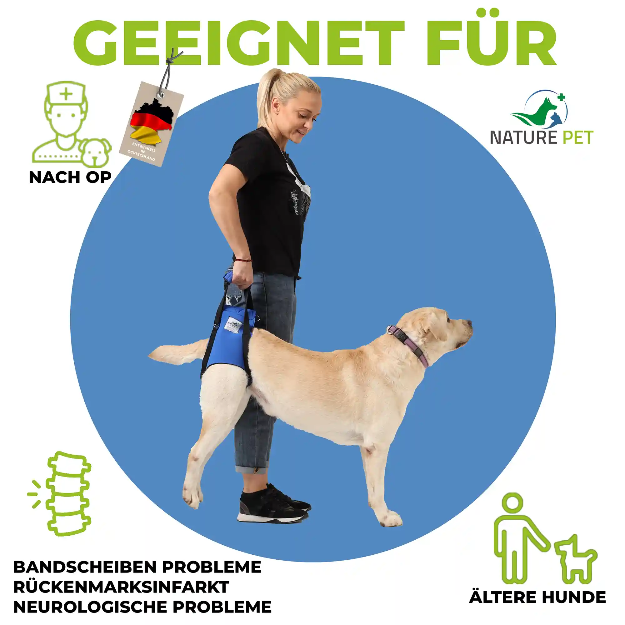 Hundetragehilfe hinten