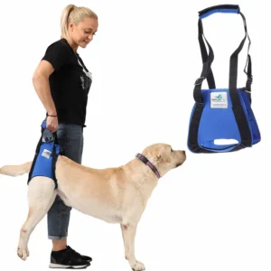 Erleben Sie den Unterschied mit Nature Pet's orthopädischen Tragehilfen für Hunde!