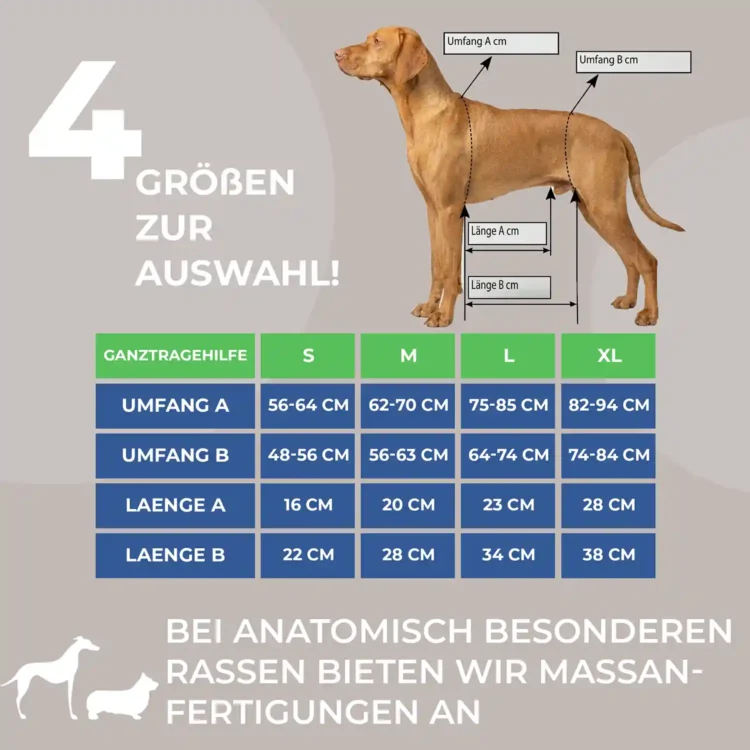 Ganzkörpertragehilfe Hund