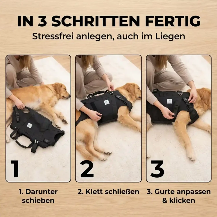 Ganzkörpertragehilfe Hund Anlegen
