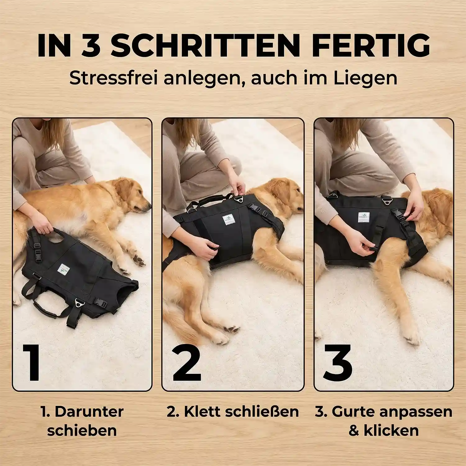 Ganzkörpertragehilfe Hund Anlegen