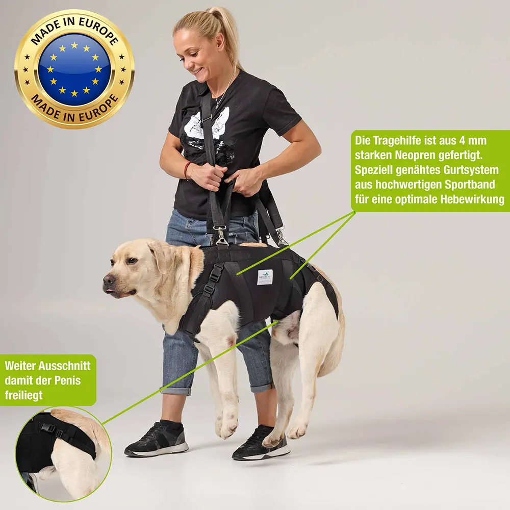 Ganzkörpertragehilfe_Hund3 Geben Sie Ihrem Hund die beste orthopädische Versorgung dank Nature Pet Durchgehende Tragehilfen für Hunde