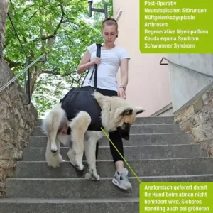 Natue Pet Ganzkörpertragehilfe für hunde im Einsatz auf einer Treppe