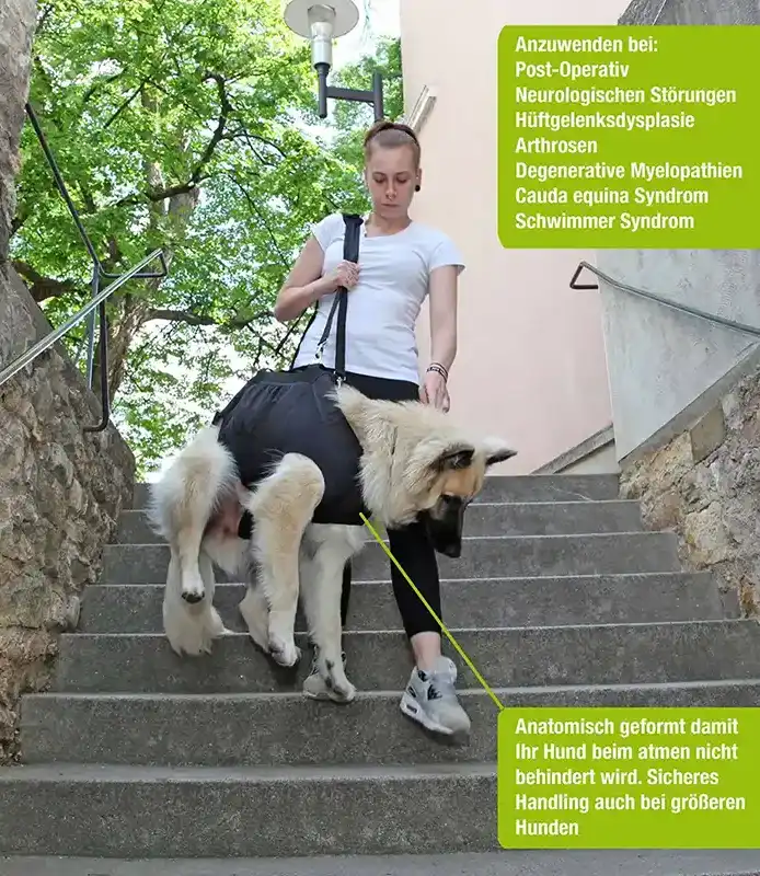 Ganzkörpertragehilfe_Hund4 Natue Pet Ganzkörpertragehilfe für hunde im Einsatz auf einer Treppe