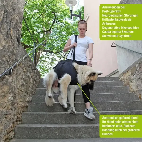 Schenken Sie Ihrem Liebling die orthopädische Unterstützung, die er verdient Nature peT Ganzkörpertragehilfen