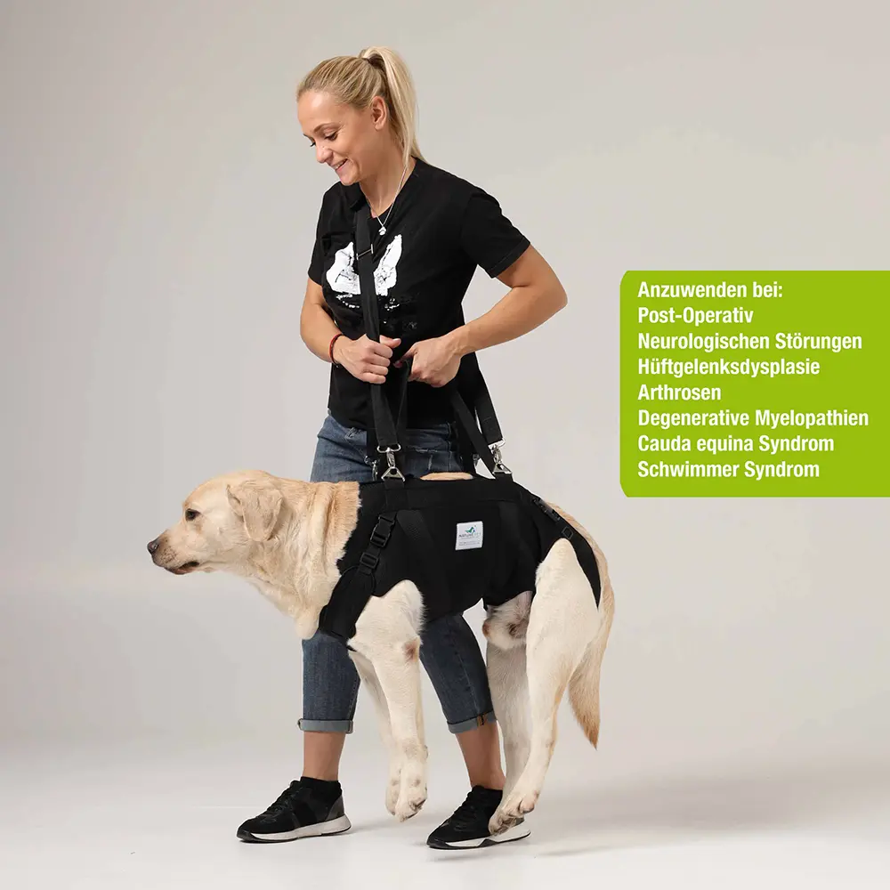 Ganzkörpertragehilfe_Hund5 Von Experten entwickelt: Orthopädische Hilfsmittel für Ihren treuen Freund Durchgehende Tragehilfen