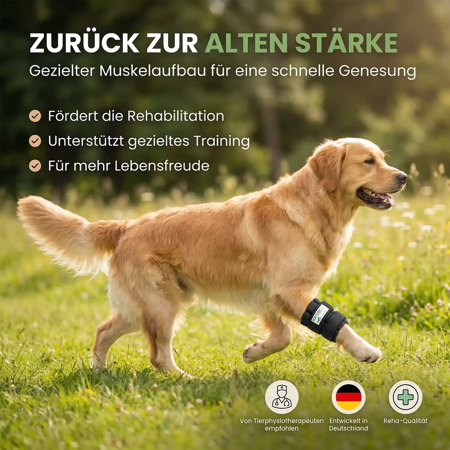 Gewichtsmanschette Hund
