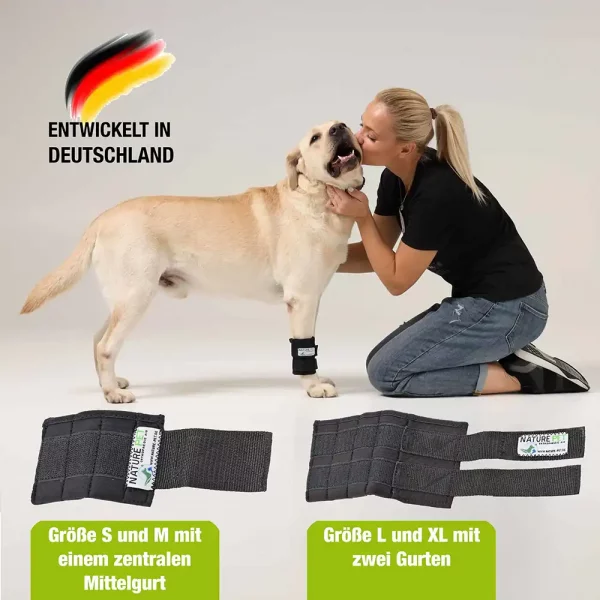 Mittelgurte der Trainings Bandage für Hunde