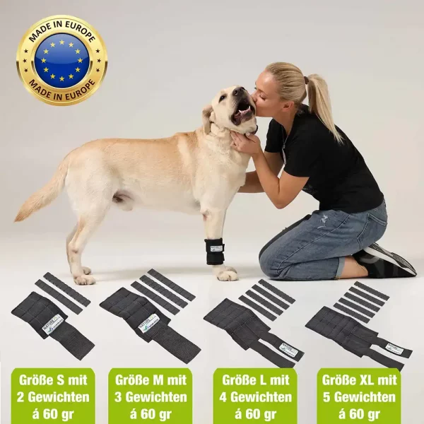 Gewichte der Trainings Bandage für Hunde