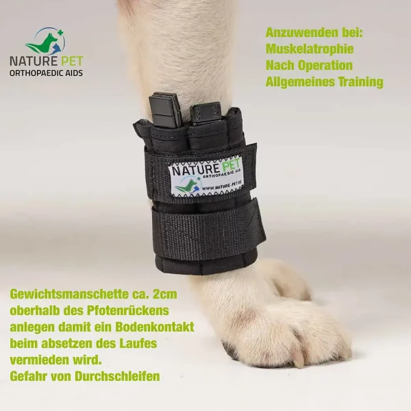 Anlegen der Trainings Bandage für Hunde
