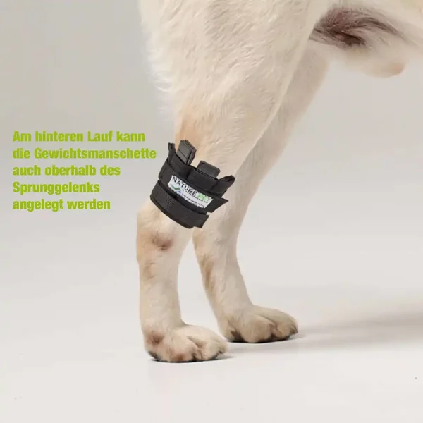 Trainings Bandage für Hunde