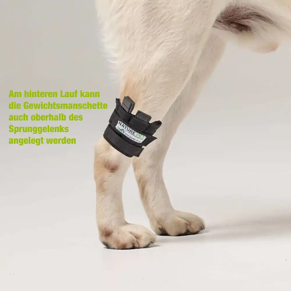 Gewichtsmanschette_USP5-scaled Trainings Bandage für Hunde