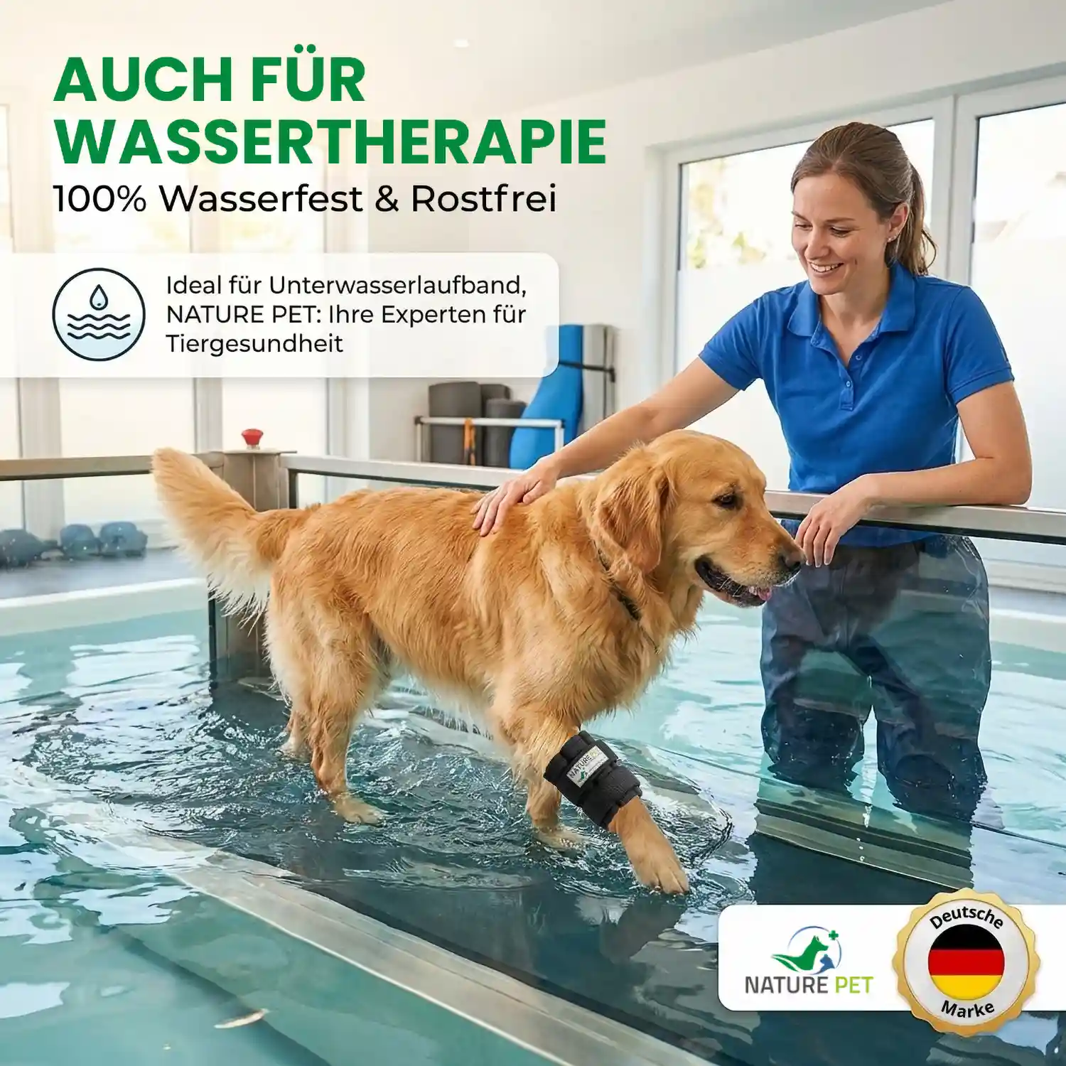 Gewichtsmanschette Hund