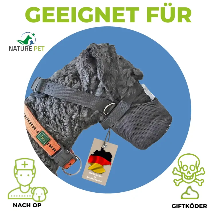 Giftköder Schutz & OP Kragen für Hunde