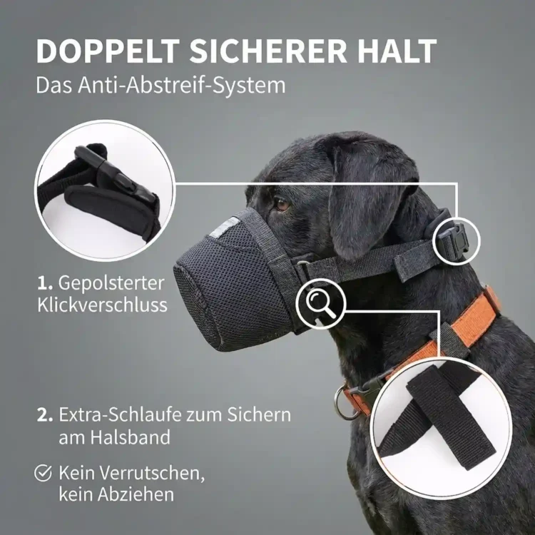 Giftköderschutz für Hunde