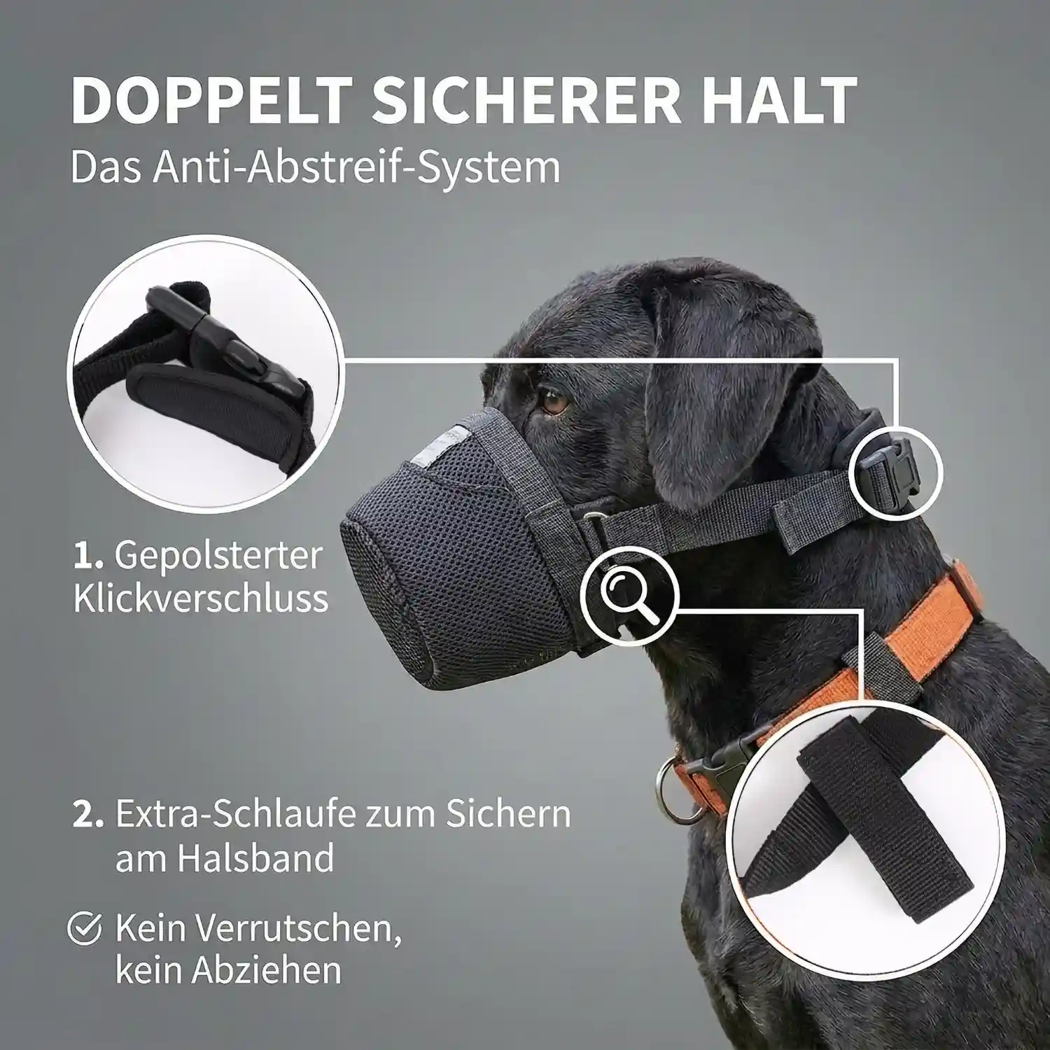 Giftköderschutz für Hunde