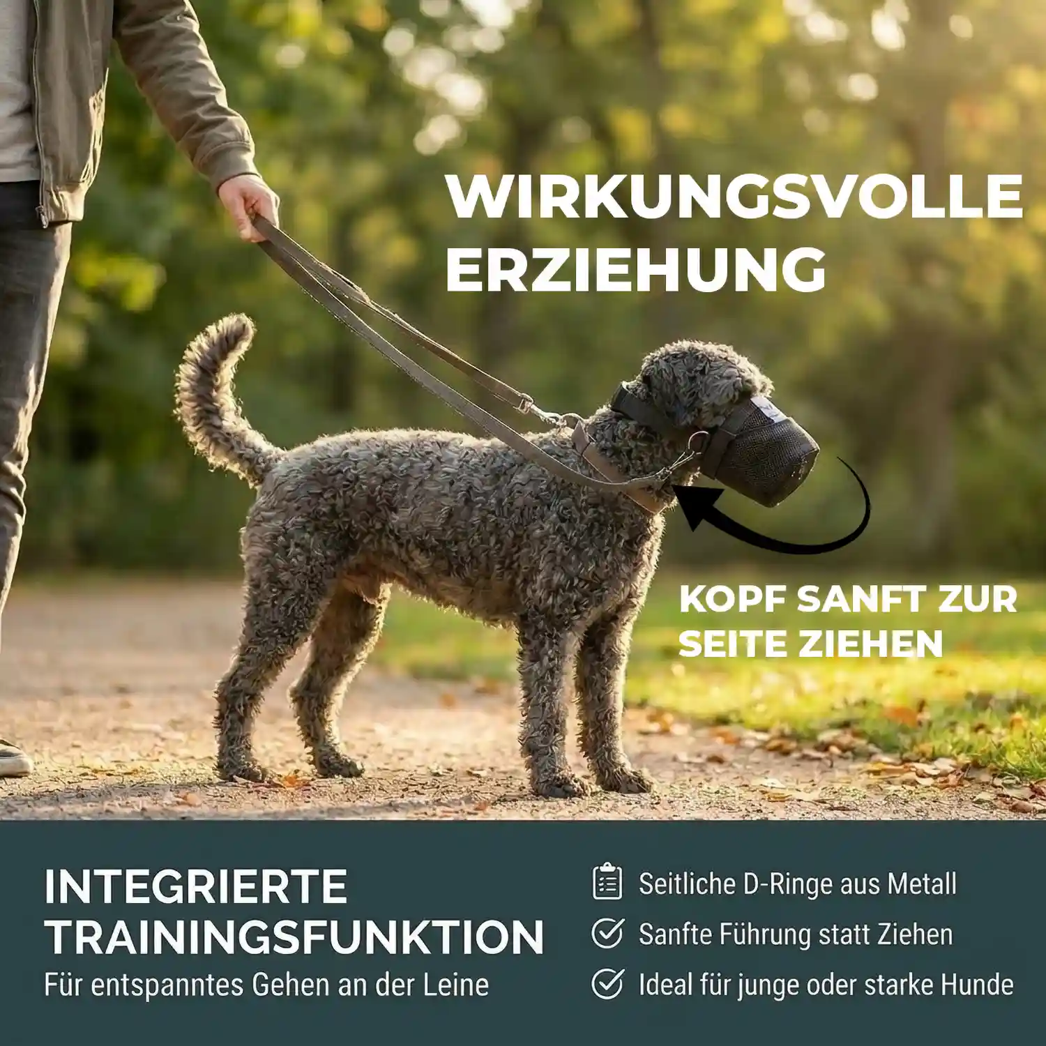 Giftköderschutz für Hunde