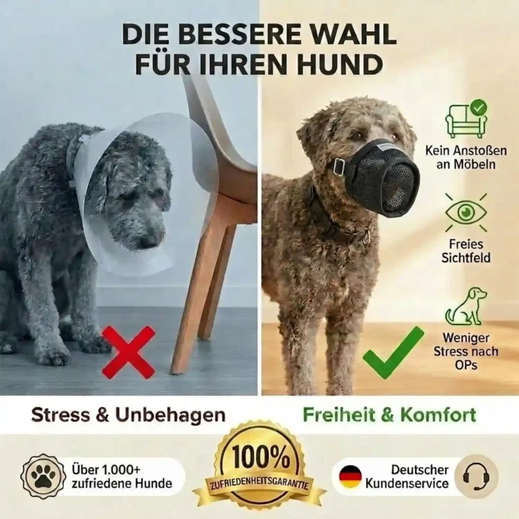 Giftköderschutz für Hunde
