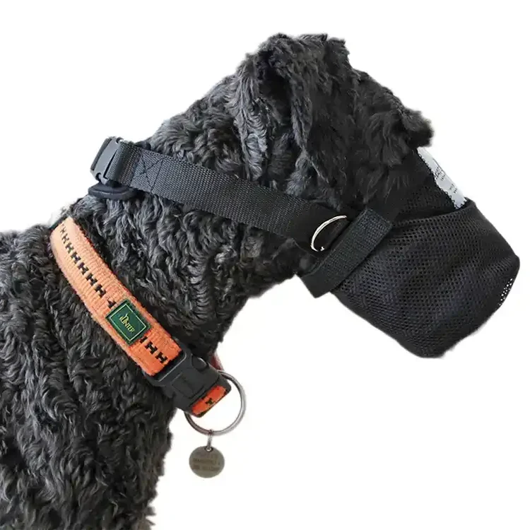 Giftköderschutz 33 Giftköderschutz für Hunde und Leckschutz nach OP