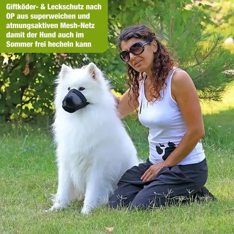 Giftköderschutz für Hunde Sommer