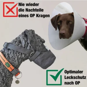 Schutznetz für Hunde anstatt Plastikkragen nach OP