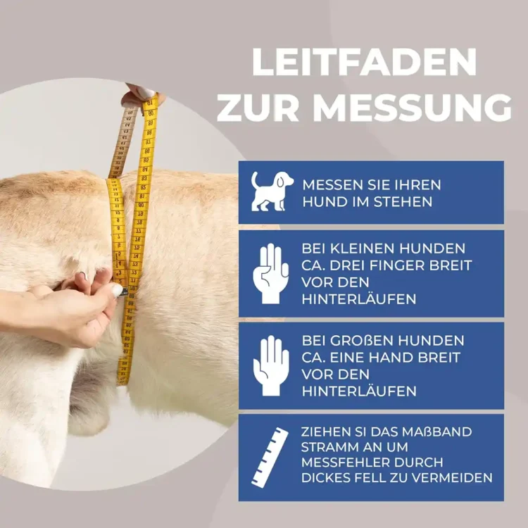 Läufigkeitshose aus Neopren 23 Wie messe ich die Läufigkeitshose von Nature Pet