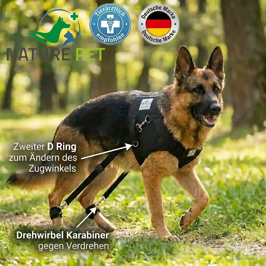 Expander Trainingsgeschirr für Hunde 7 Nature Pet Hundeexpander Trainingsgeschirr