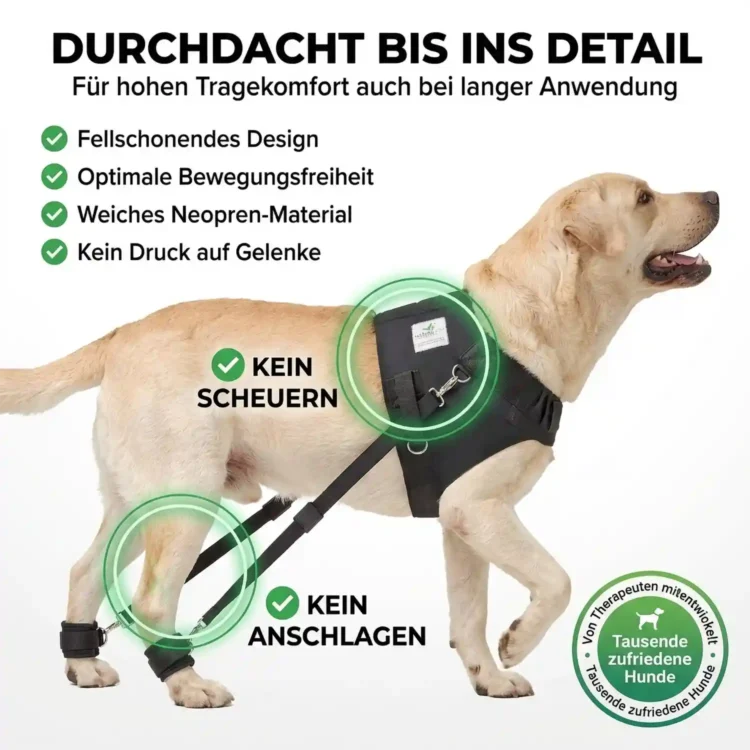 Expander Trainingsgeschirr für Hunde 29 Nature Pet Hundeexpander Trainingsgeschirr