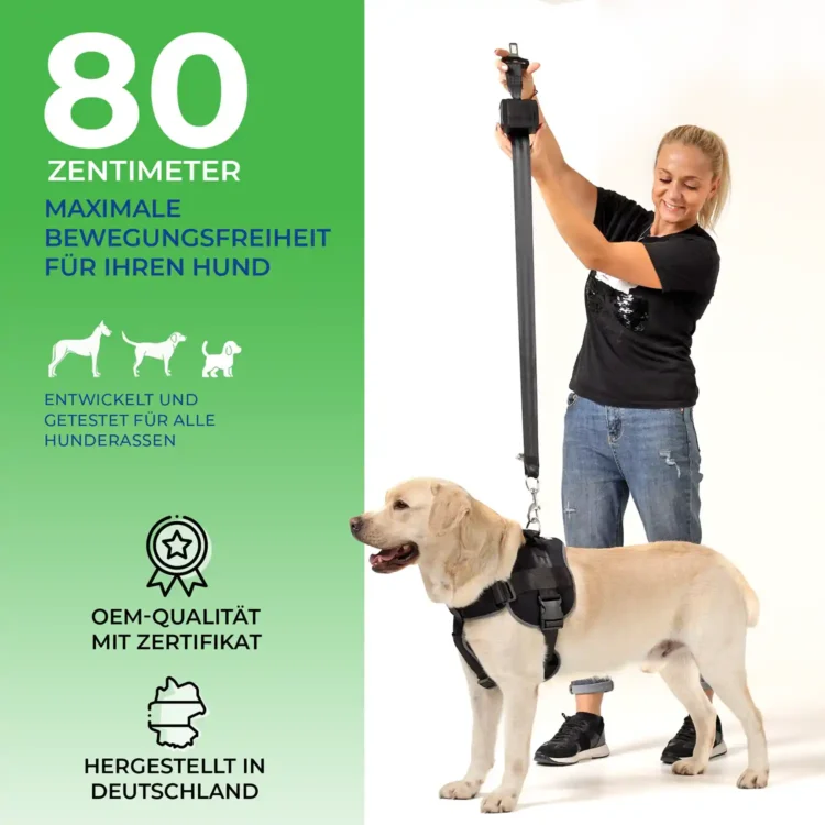 Hunde Sicherheitsgurt Länge
