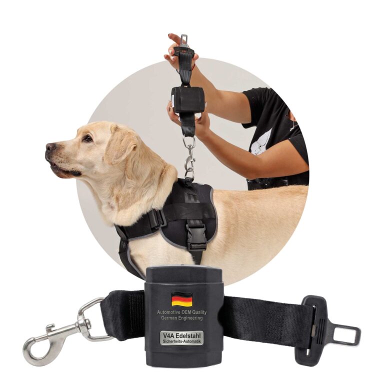 Hunde-Rollengurt Nature Pet