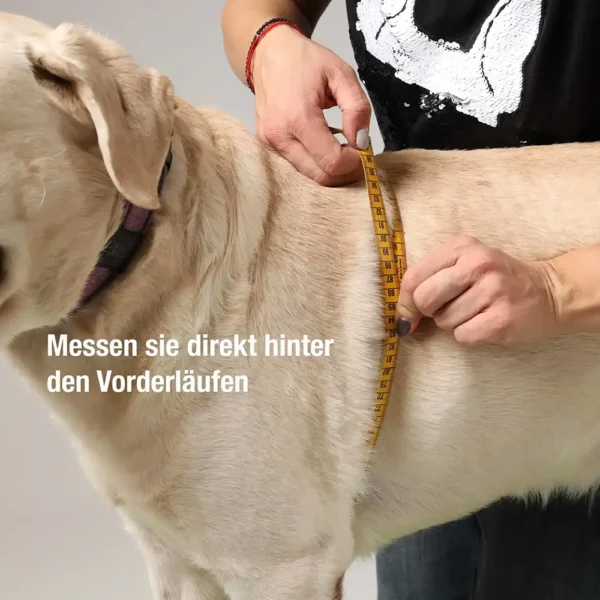 Transport Geschirr für Hunde im Auto von Nature Pet messen