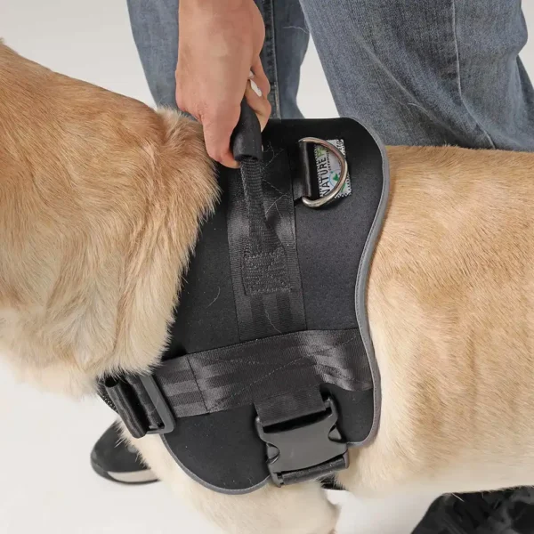 Gurt Geschirr für Hunde im Auto von Nature Pet