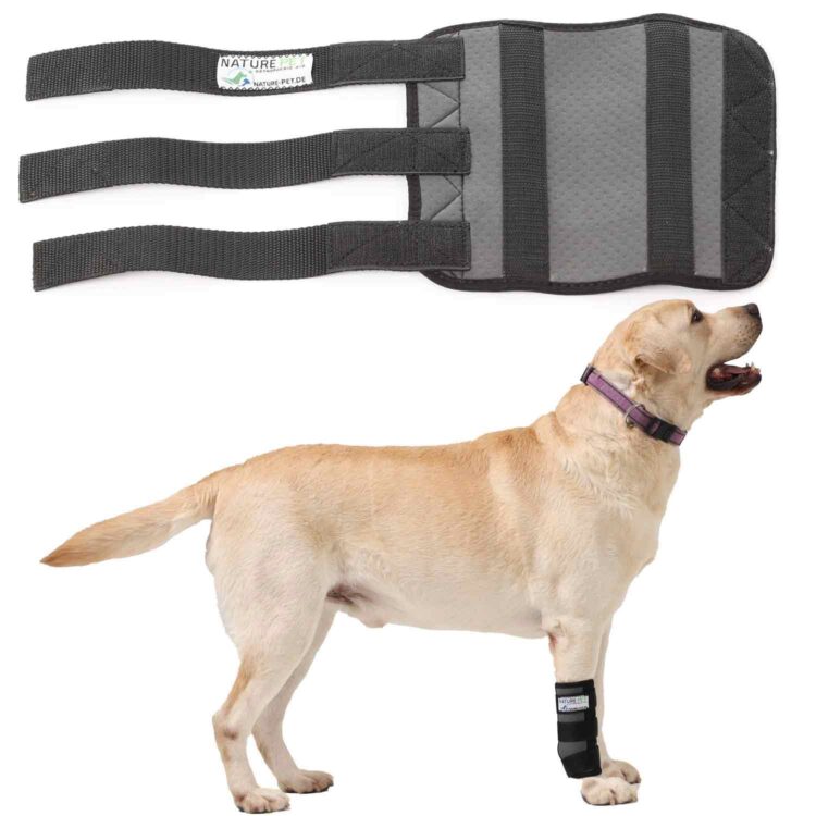 Sport Bandage für Hunde 19 Nature Pet Sportbandage für Hunde