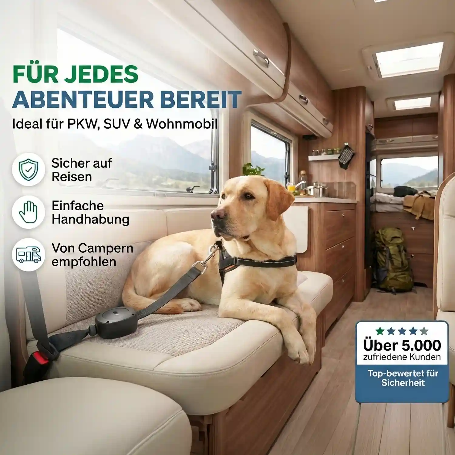 Hunde-Rollengurt Nature Pet