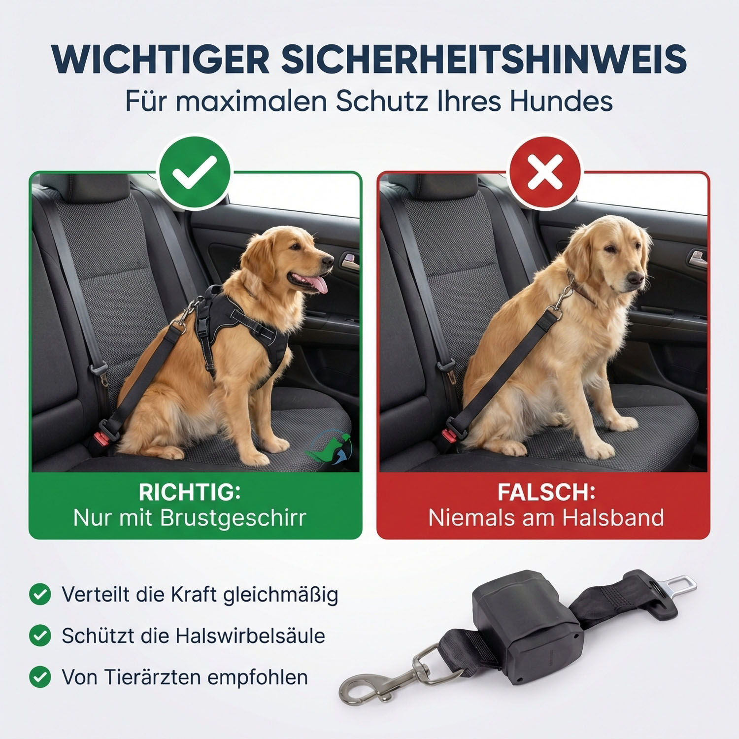 Hunde-Rollengurt Nature Pet
