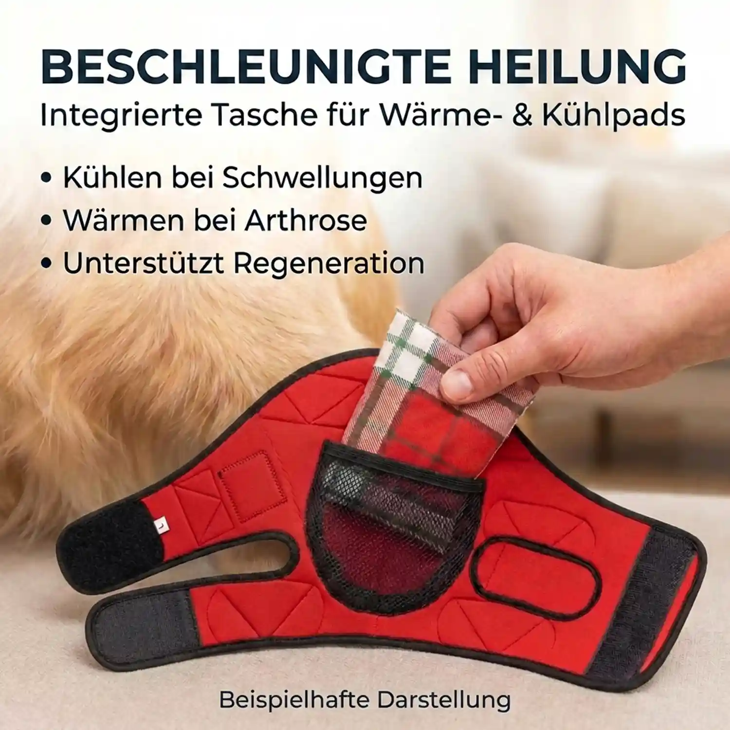 Liegeschwielen- / Ellenbogen Bandage für Hunde 9 Traubenkernkissen für Liegeschwielen Bandage