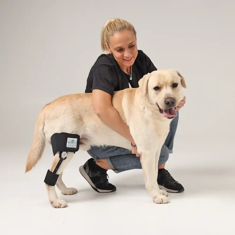 Kniebandage für Hunde