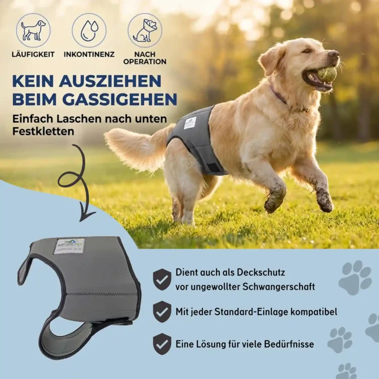 Läufigkeitshose_USP1