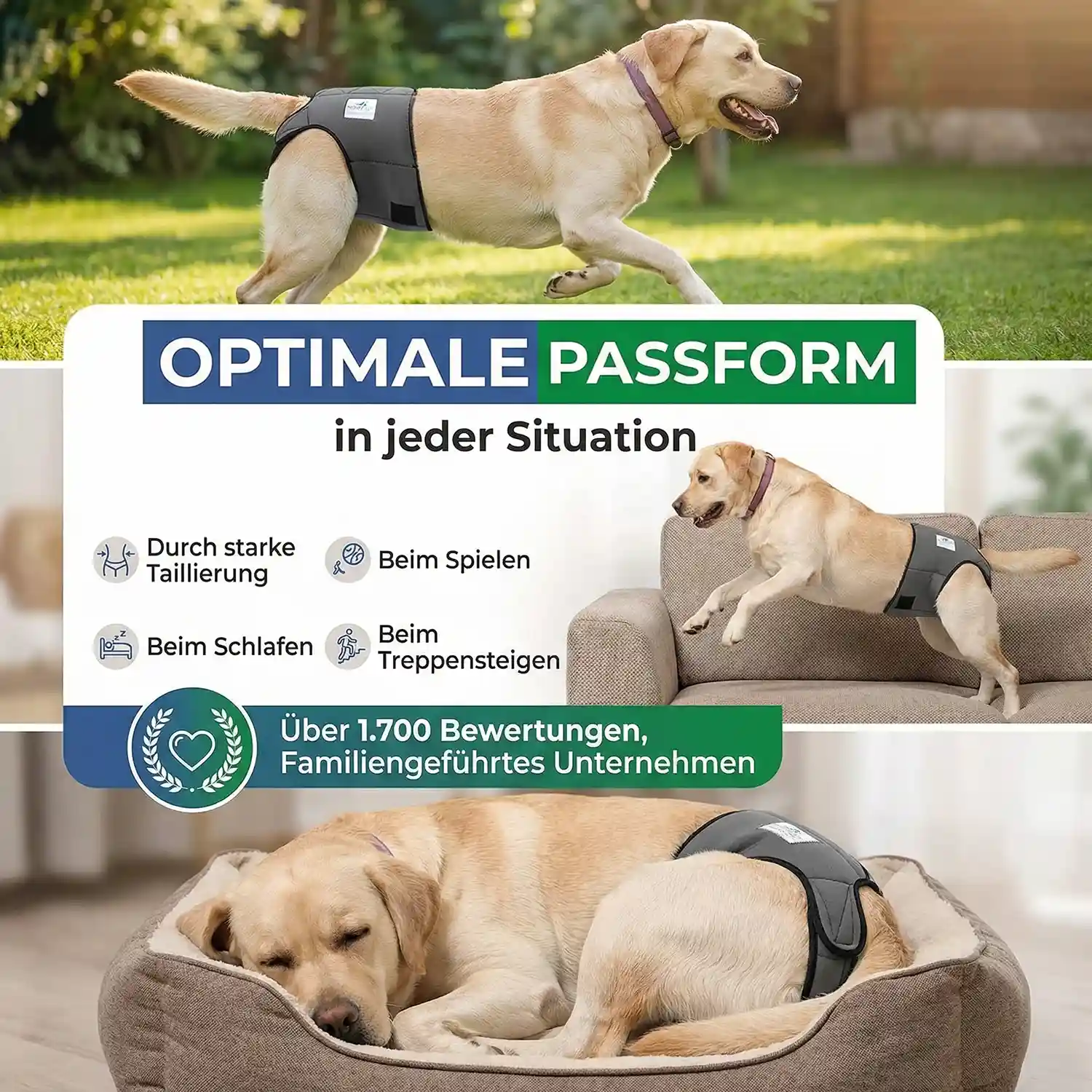 Läufigkeitshose_USP2