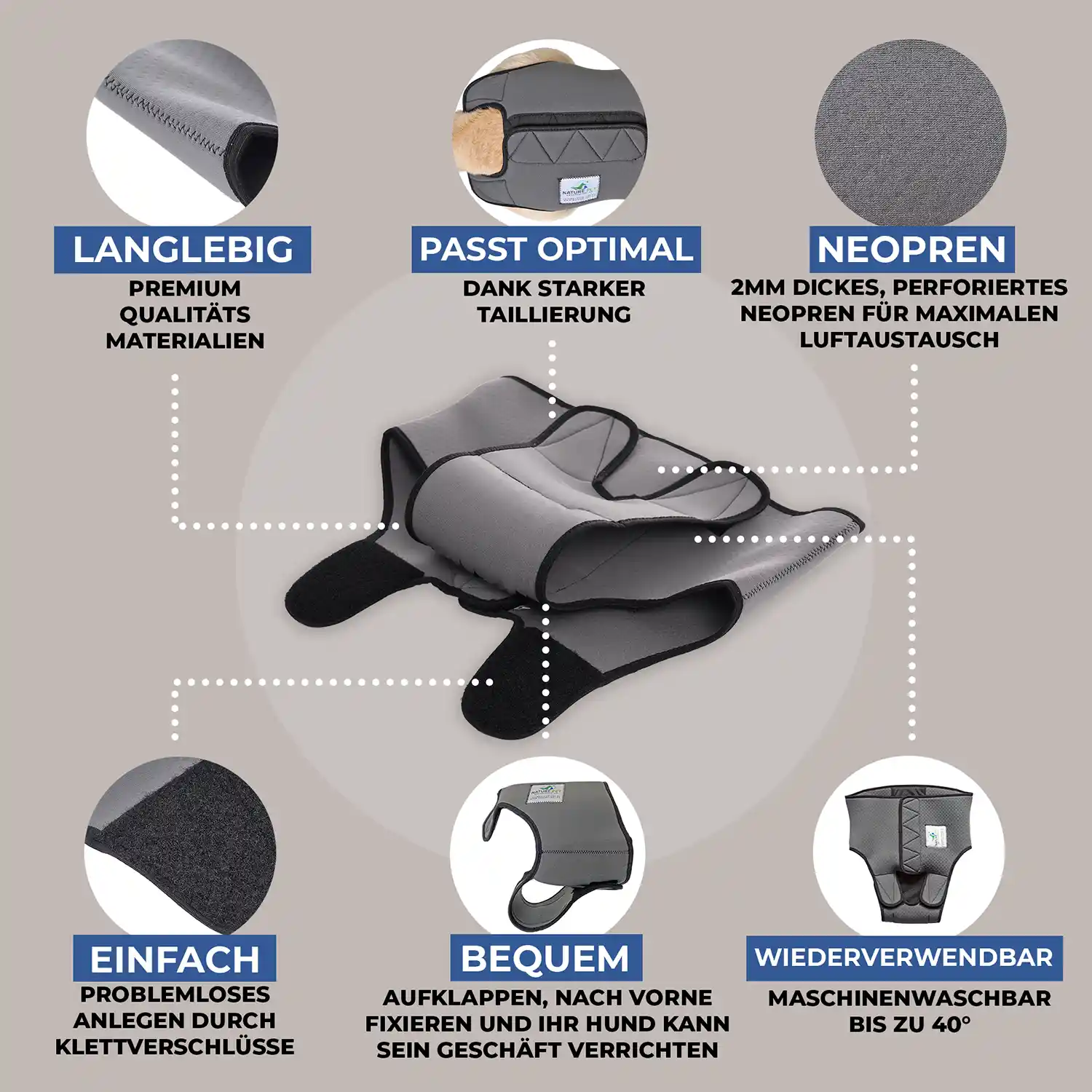 Läufigkeitshose aus Neopren 11 Vorteile der Läufigkeitshose von Nature pet