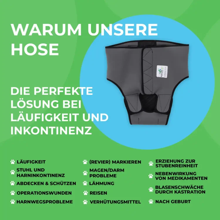 Läufigkeitshose aus Neopren 35 Anwendungsgebiete für die Läufigkeitshose von Nature Pet