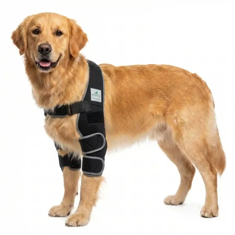 Liegeschwielen- / Ellenbogen Bandage für Hunde 37 Liegeschwielen Bandage / Ellenbogenbandage für Hunde