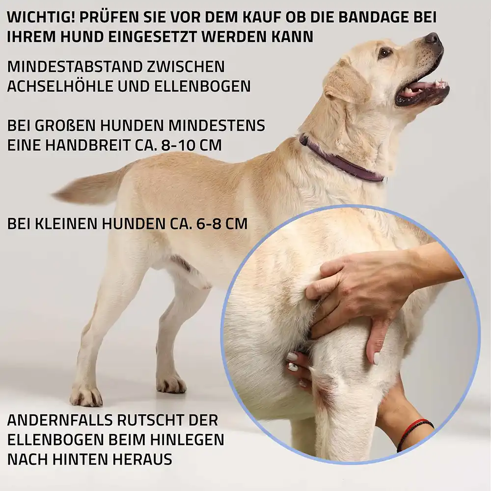 Liegeschwielenbandage_Hand-scaled Liegeschwielenbandage Vorderlauf hund