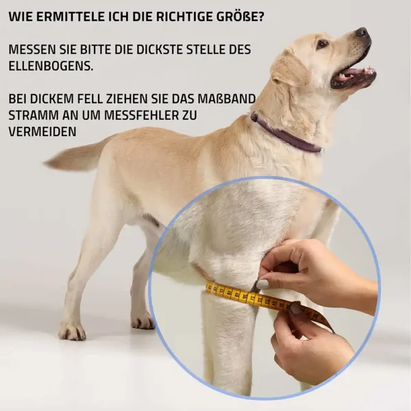 Liegeschwielenbandage Vorderlauf Hund von Nature Pet