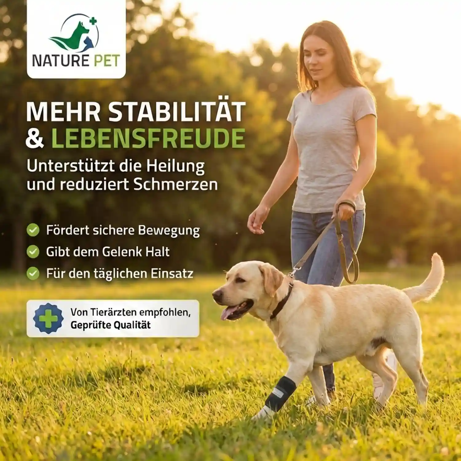 Medium Bandage für Hunde