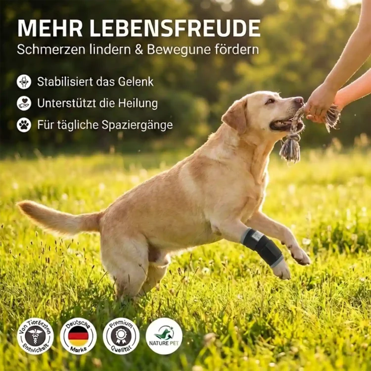 Premium Bandage Vorderlauf Hund