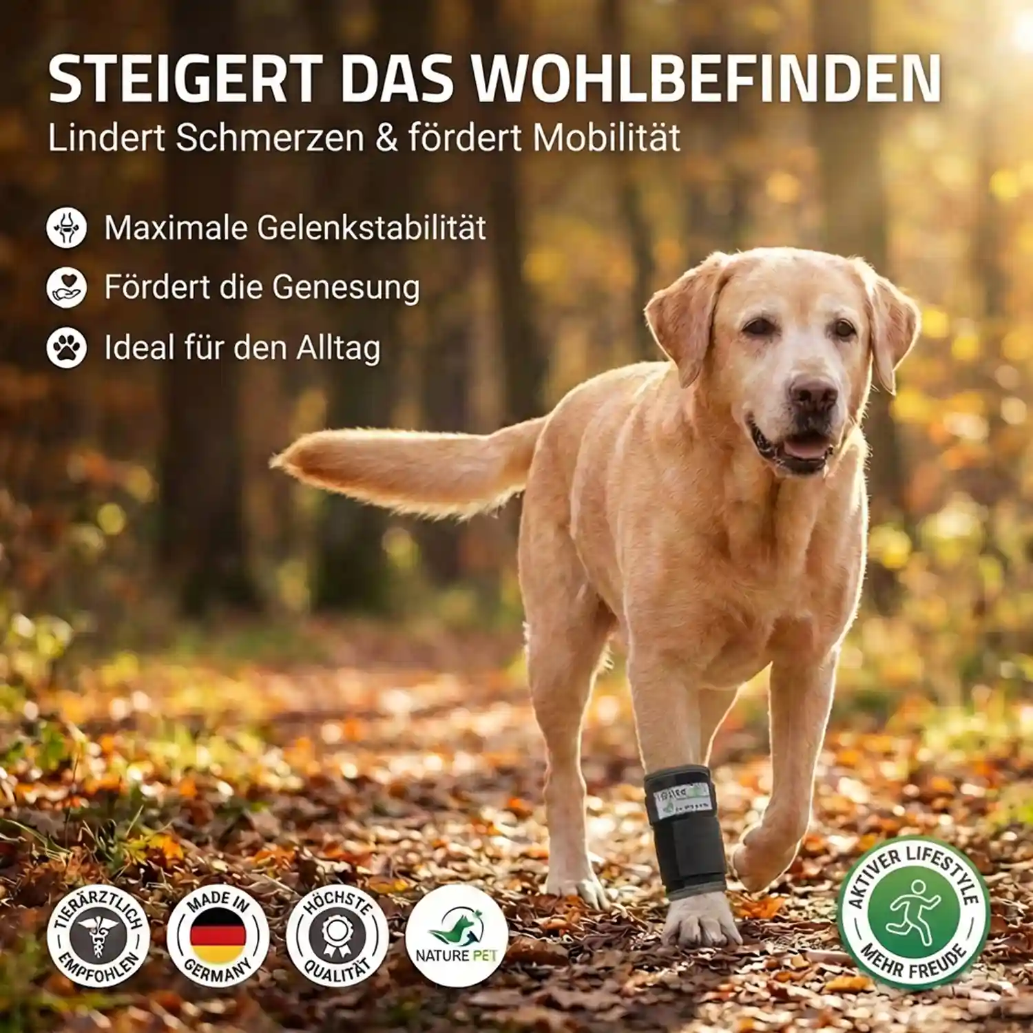 Premium Bandage Vorderlauf Hund